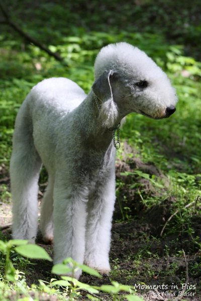 2010-05-29 Alanna und Svet (4).jpg - Arc-en-ciel Alanna 2010-05-29